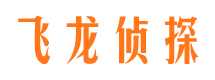 河津市调查公司